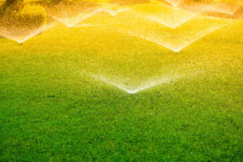 Type of Sprinkler System