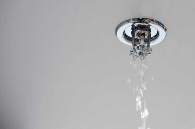 Fire Sprinkler System Testing